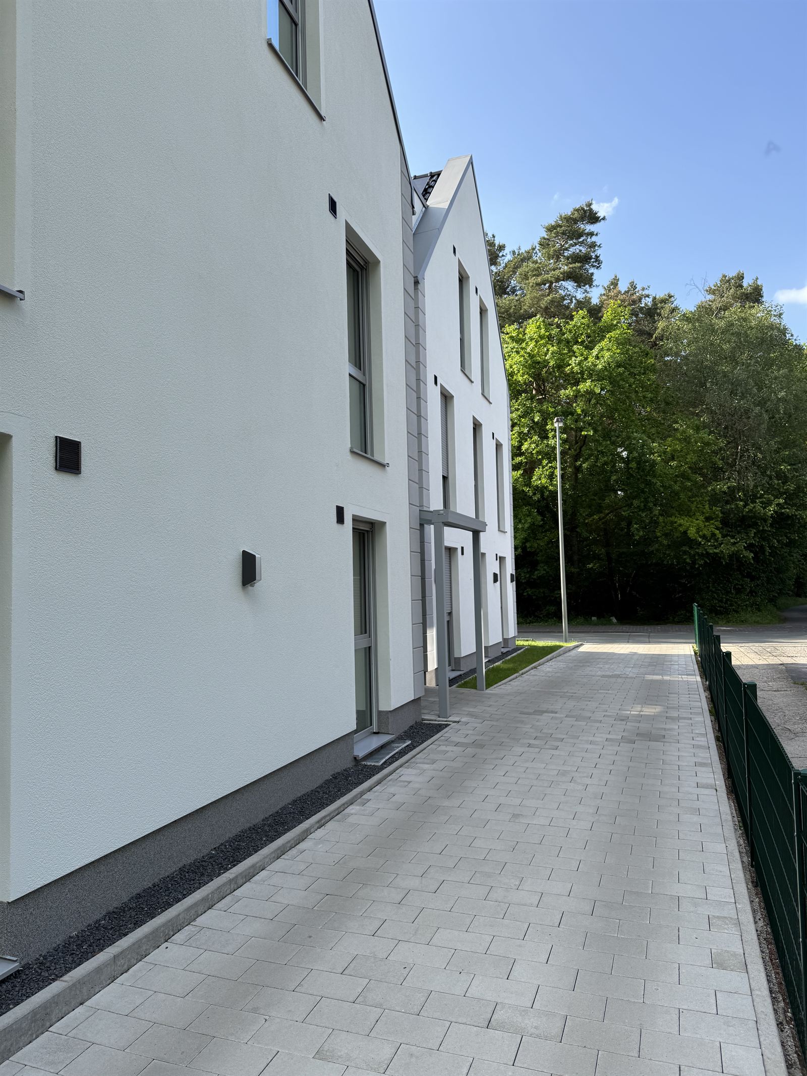 Seitenansicht am Waldrand